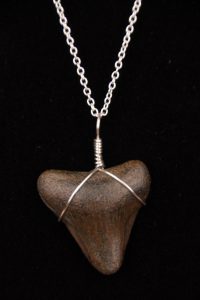 Ocean Sands Jewelry : Necklace - Shark Tooth ST12.8-18S