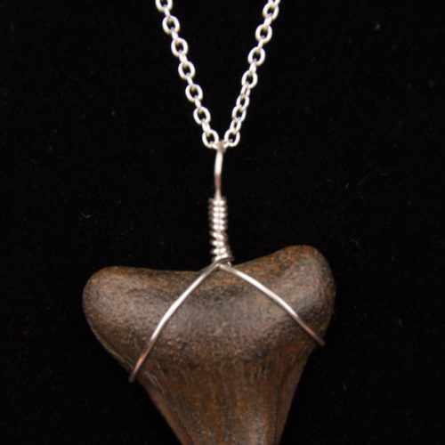 st12.8-18s-necklace-shark-tooth-6985 Ocean Sands Jewelry : Necklace - Shark Tooth ST12.8-18S