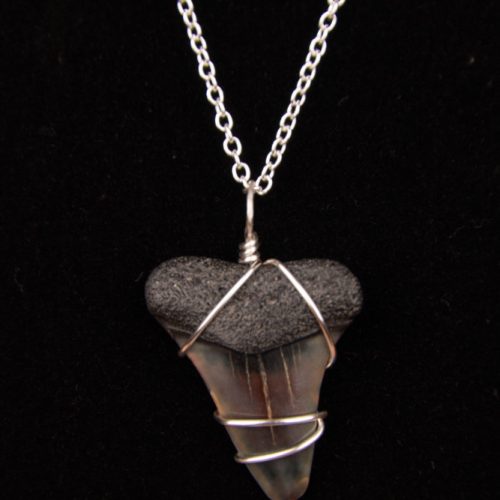 st4.2-18s-necklace-shark-tooth-6982 Ocean Sands Jewelry : Necklace - Shark Tooth ST4.2-18S