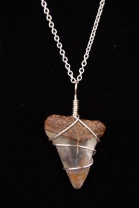 Ocean Sands Jewelry : Necklace - Shark Tooth ST4.6-18S