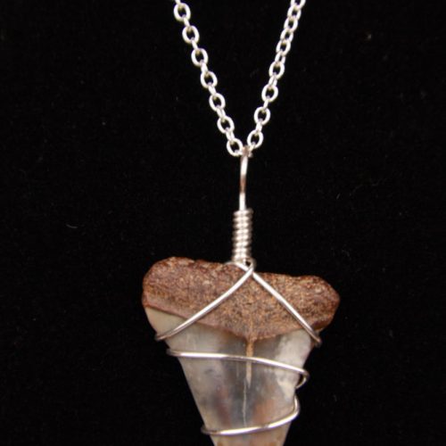 st4.6-18s-necklace-shark-tooth-6983 Ocean Sands Jewelry : Necklace - Shark Tooth ST4.6-18S