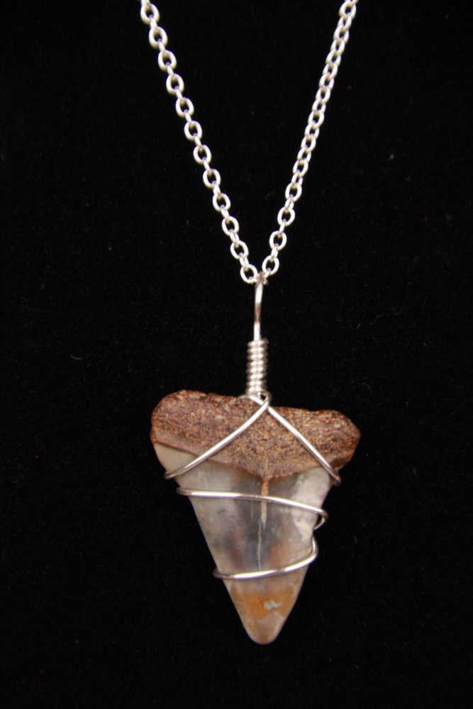 Ocean Sands Jewelry : Necklace - Shark Tooth ST4.6-18S